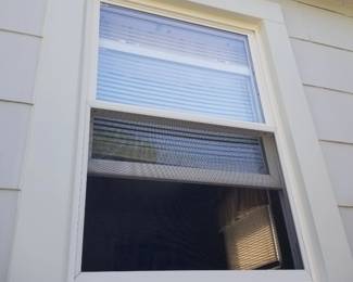 Replacement windows throughout home