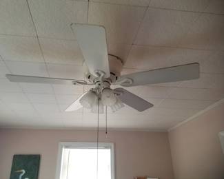 Lighted ceiling fan