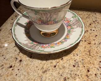 Royal Ardalt Bone China Teacup and Saucer Set