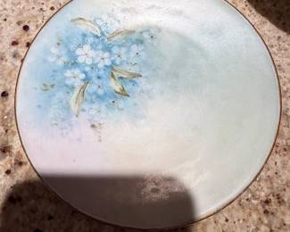 HandPainted Porcelain Plate with Floral Motif  Possibly Bavaria