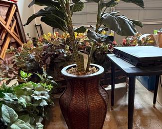 Artificial Fiddle Leaf Fig Plant in Woven Vase