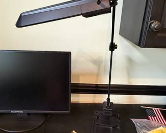 Adjustable Desk Lamp with Swing Arm