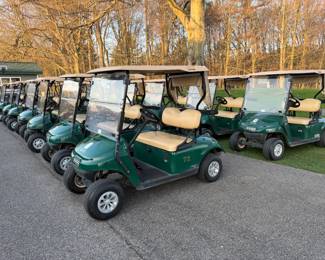 Used Golf Carts for Sale