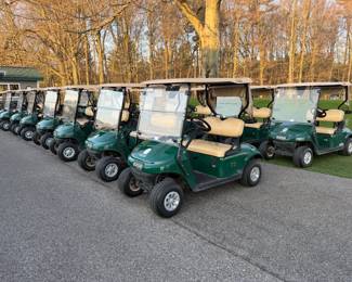 Used Golf Carts for Sale