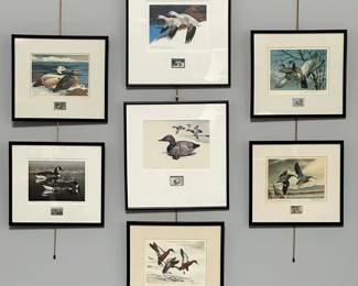 Framed, remarqued colored art prints of paintings selected for Federal Duck Stamps. The pieces feature a large limited edition signed print of the waterfowl, above a smaller stamped artwork known as a "remarque" at the bottom center. Artists include James P. Fisher, Lee LeBlanc, Martin R. Murk, David Maass, Alderson Magee, Arthur M. Cook, and Maynard Reece. Largest framed piece is 171/4” H x 16-1/2” W, smallest framed piece is 15” H x 13-1/2” W.