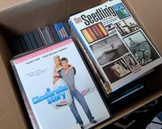 A Cinderella Story and The Seedling DVD Lot