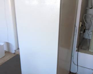 White Upright Freezer
