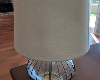 Modern Wire Cage Glass Table Lamp with Brass Finish