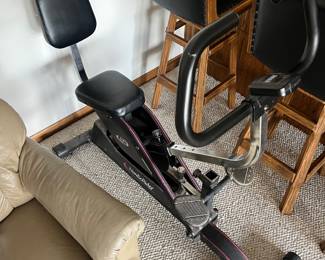 Nordic Rider “Dual Motion” exercise machine.