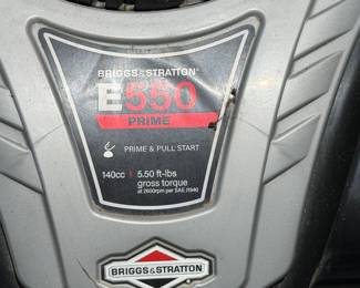 Murray branded 22-inch cut lawn mower equipped with a Briggs & Stratton E550 engine