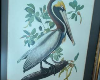 John James Audubon’s "Brown Pelican" from The Birds of America series.