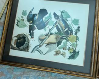 John James Audubon "Summer or Wood Duck" lithograph print.