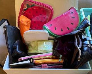 Assorted Cosmetic Bags and Pouches