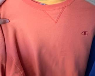 Vintage Champion Reverse Weave Crewneck Sweatshirts second image