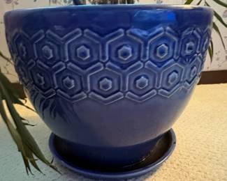 Parlor Palm in Decorative Blue Ceramic Pot second image