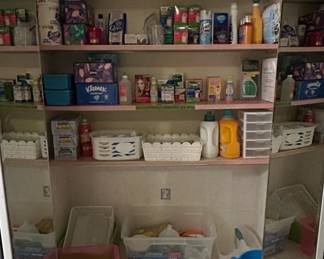 Assorted Household Cleaning and Storage Supplies