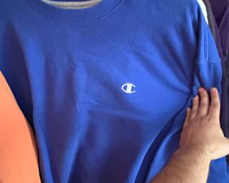 Vintage Champion Reverse Weave Crewneck Sweatshirts third image