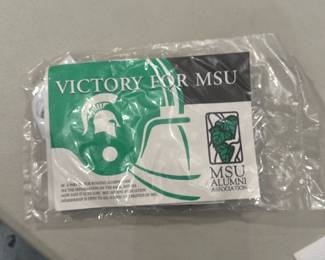 MSU inflatable mini helmet