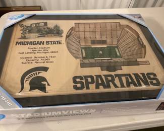 Michigan State Spartan Stadium Model