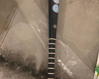 Minnesota Twins Signed Baseball Bat