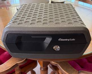 Brand new century safe