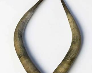 Pair of Cattle Horns