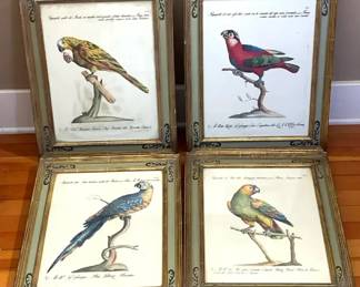 Four Pappagallo Prints After Saverio Manetti