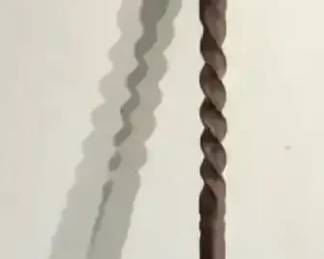 African Walking Stick