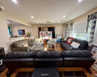 Living room furniture and decor 