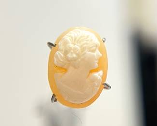 Carved Shell Cameo Closeup