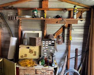 Shed finds 