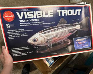 Visible Trout model - new in box!