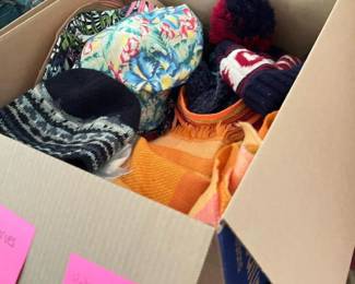 229 boxlotofhatsandscarves