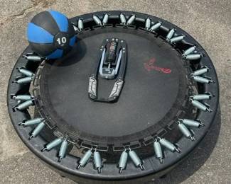 Fitness Bundle  Lifepro PowerUp Adjustable Dumbbell, Rebounder Trampoline  10lb Weight Ball