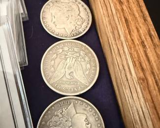 Morgan Silver Dollar Collection