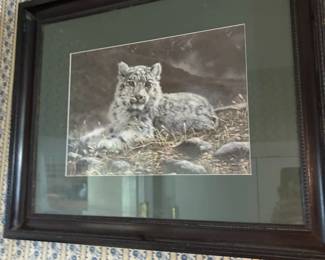 Framed snow leopard print