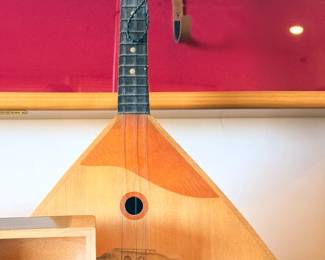 Stringed instrument