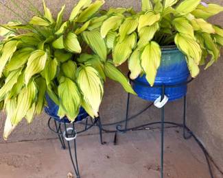 Planter pots
