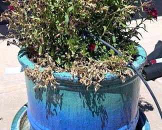 Planter pots