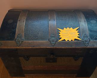 Alligator Embossed Trunk