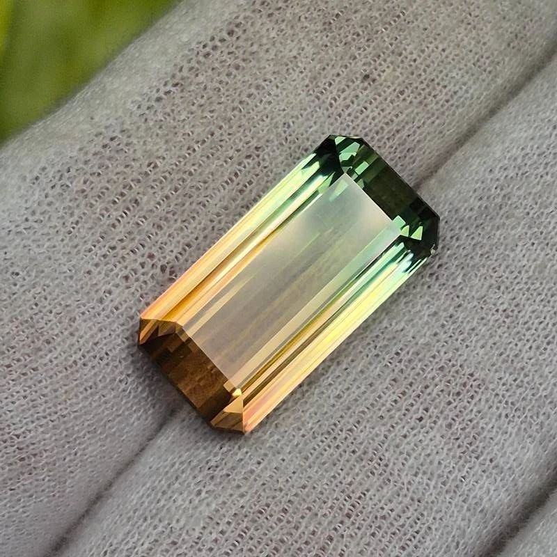 22.68 Carat Watermelon Tourmaline by Award-Winning Gem Cutter Ben Kho