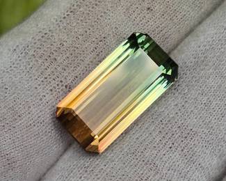 22.68 Carat Watermelon Tourmaline by Award-Winning Gem Cutter Ben Kho