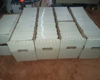 Freshly bagged and boarded.