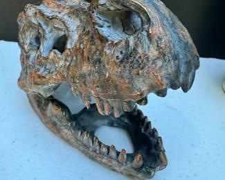 TRex Decorative Skull