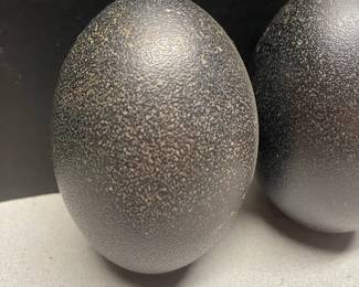 Pair Of Emu Eggs