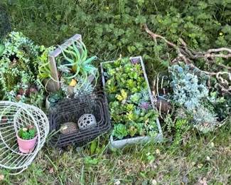 Assortment of Faux Succulents with Baskets Ceramic Flower Frogs and Sticks