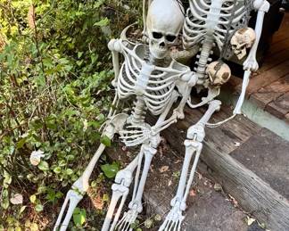 Full Size Skeletons