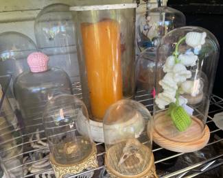 Glass Display Dome Cloche Collection