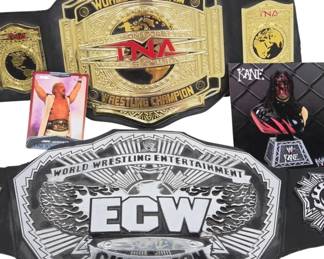 WWE ECW and TNA Wrestling Belts With Cards