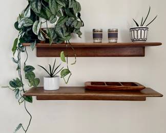 House Plants